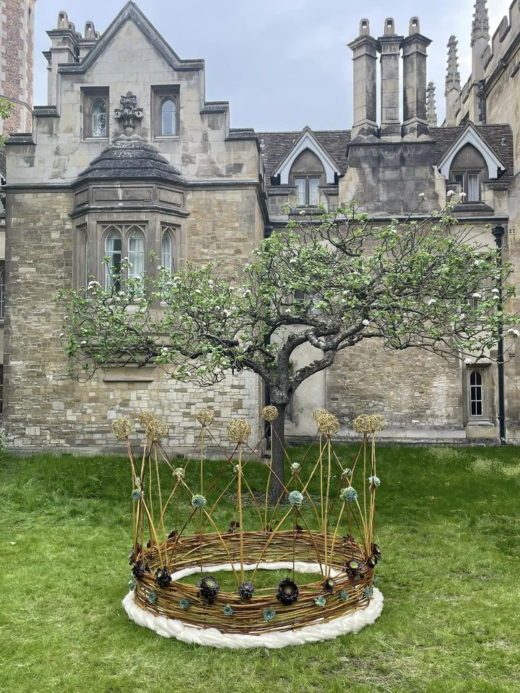 crown shape made of plants laid out on lawn